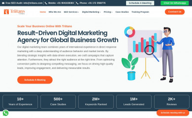 triitans.com screenshot