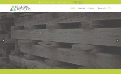 trilliumrecycling.ca screenshot
