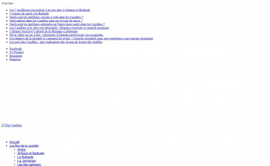 tripcaraibes.com screenshot