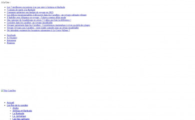tripcaraibes.com screenshot