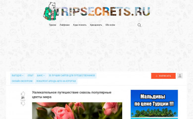 tripsecrets.ru screenshot