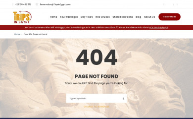 tripsinegypt.com screenshot