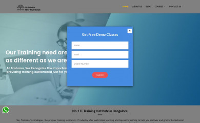 trishanatechnologies.com screenshot