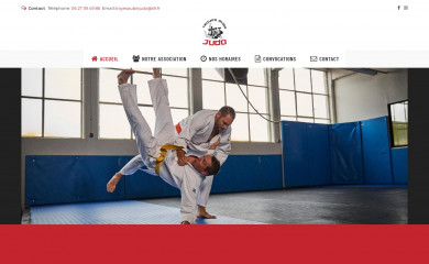 troyesaubejudo.fr screenshot
