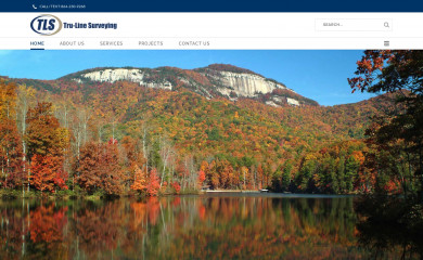 tru-linesurveying.com screenshot