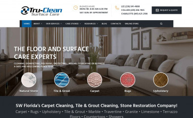 trucleansurfacecare.com screenshot