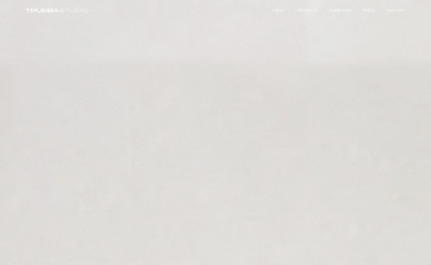 truebastudio.com screenshot