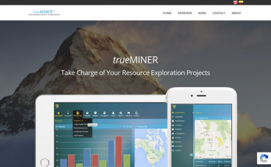trueminer.com screenshot