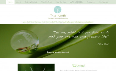 truenorthact.com screenshot