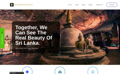 trueparadisetours.com screenshot