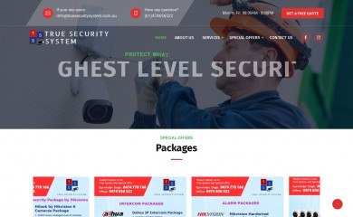 truesecuritysystem.com.au screenshot