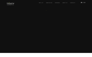 tsilkov.com screenshot