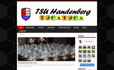 tsu-handenberg.at screenshot