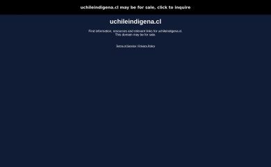 uchileindigena.cl screenshot