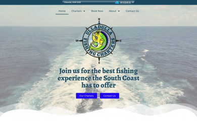ulladullafishingcharters.com.au screenshot