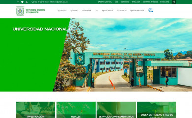 unsm.edu.pe screenshot
