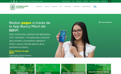 unsm.edu.pe screenshot