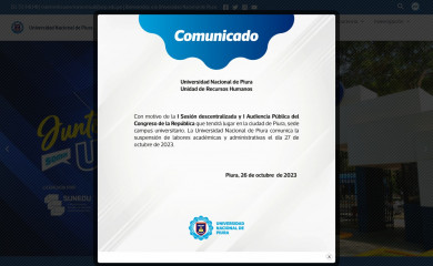 unp.edu.pe screenshot