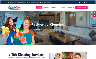 v-tidy.com screenshot