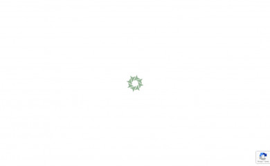 vyvsolutions.cl screenshot