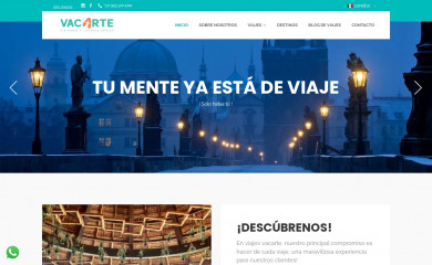 vacarte.com.mx screenshot