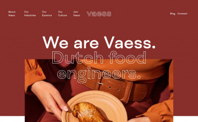 vaess.com screenshot
