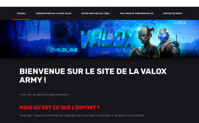 valoxarmy.com screenshot