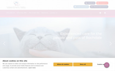 valentinevets.co.uk screenshot