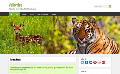 valkyries.nl screenshot