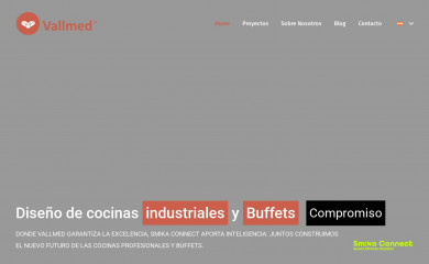 vallmed.es screenshot