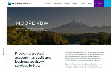 vanburwray.co.nz screenshot