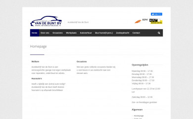 vandebuntautos.nl screenshot