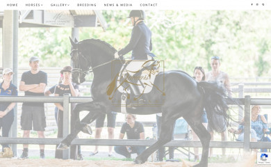 vandemearsfriesianhorses.com screenshot