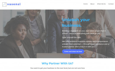 vasensi.com.au screenshot