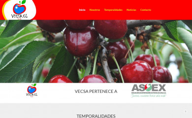 vecsa.cl screenshot