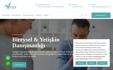 vegapsikolojimerkezi.com screenshot