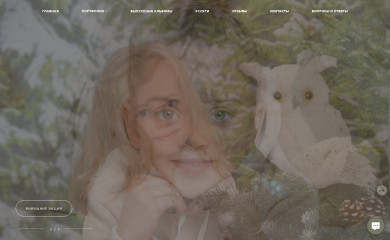 vekfoto.ru screenshot