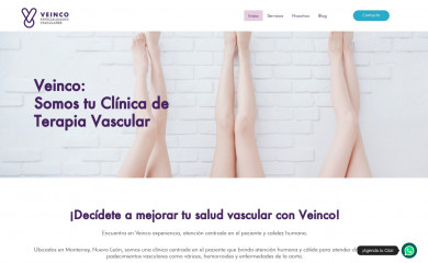 veinco.com.mx screenshot