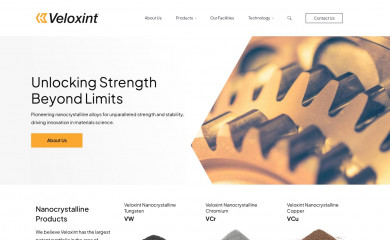 veloxint.com screenshot