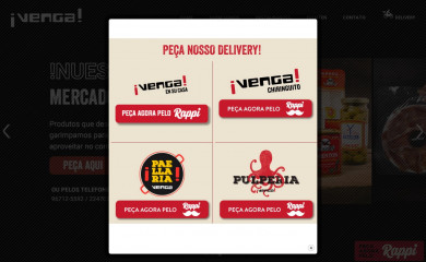 venga.com.br screenshot