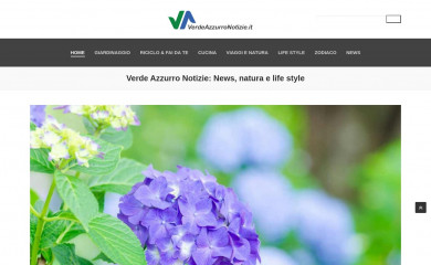 verdeazzurronotizie.it screenshot