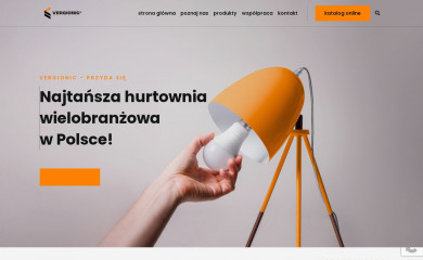 vergionic.pl screenshot