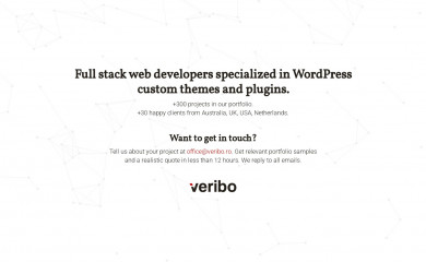 https://www.veribodevelopment.com/ screenshot