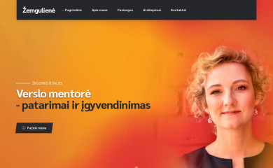 versloasistente.lt screenshot