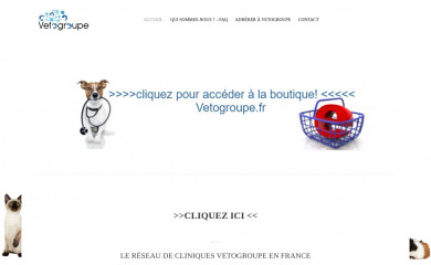 vetogroupe.fr screenshot