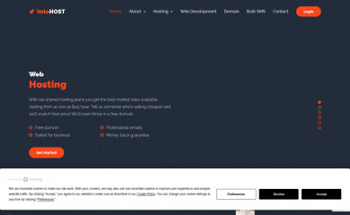 vetohost.com screenshot