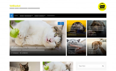 vetbasket.com screenshot