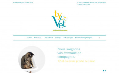 veterinairetyvet.fr screenshot