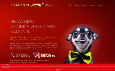 veterinariagamonal.com screenshot