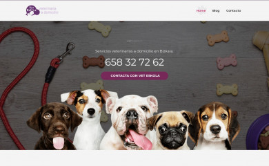 veteskola.com screenshot